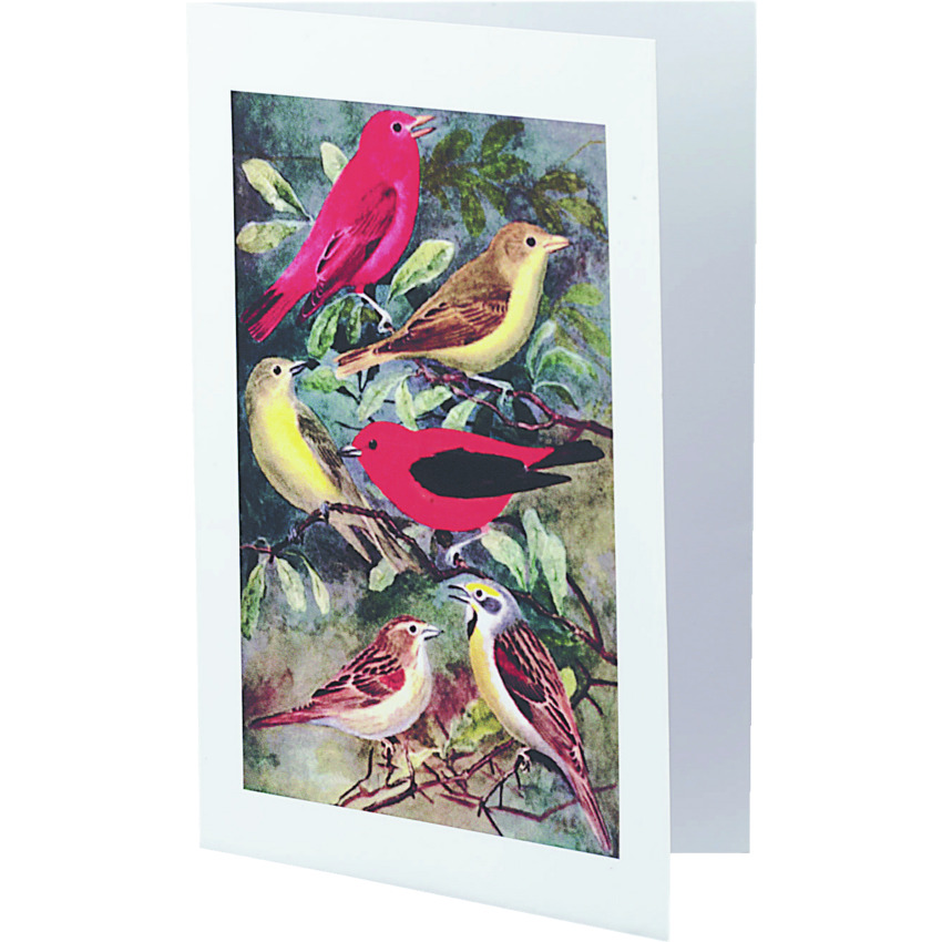 Product Image02