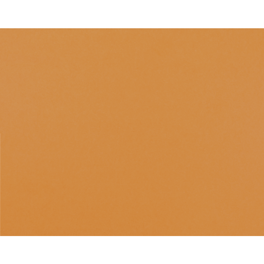 Pacon® 4-Ply Railroad Board Orange