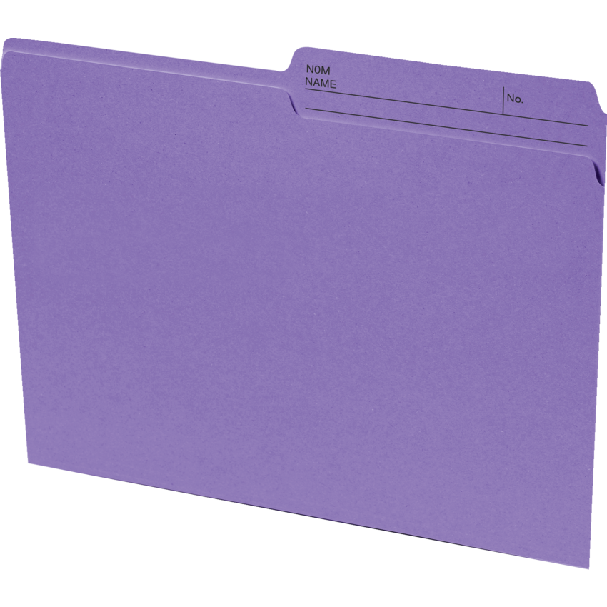 Basics® Coloured Reversible File Folders Letter Violet 100/box