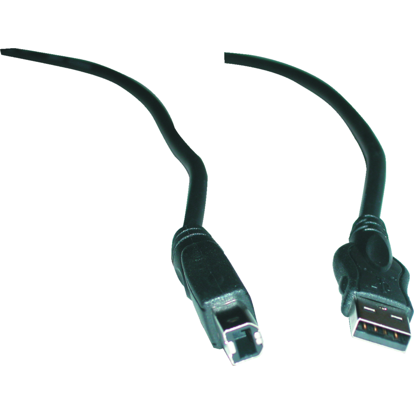 Exponent® USB 2.0 Cable 10'