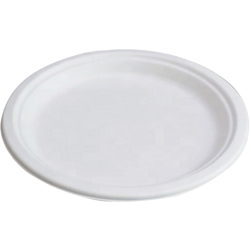 Globe™ Compostable Plates Dinner 10" 50/pkg