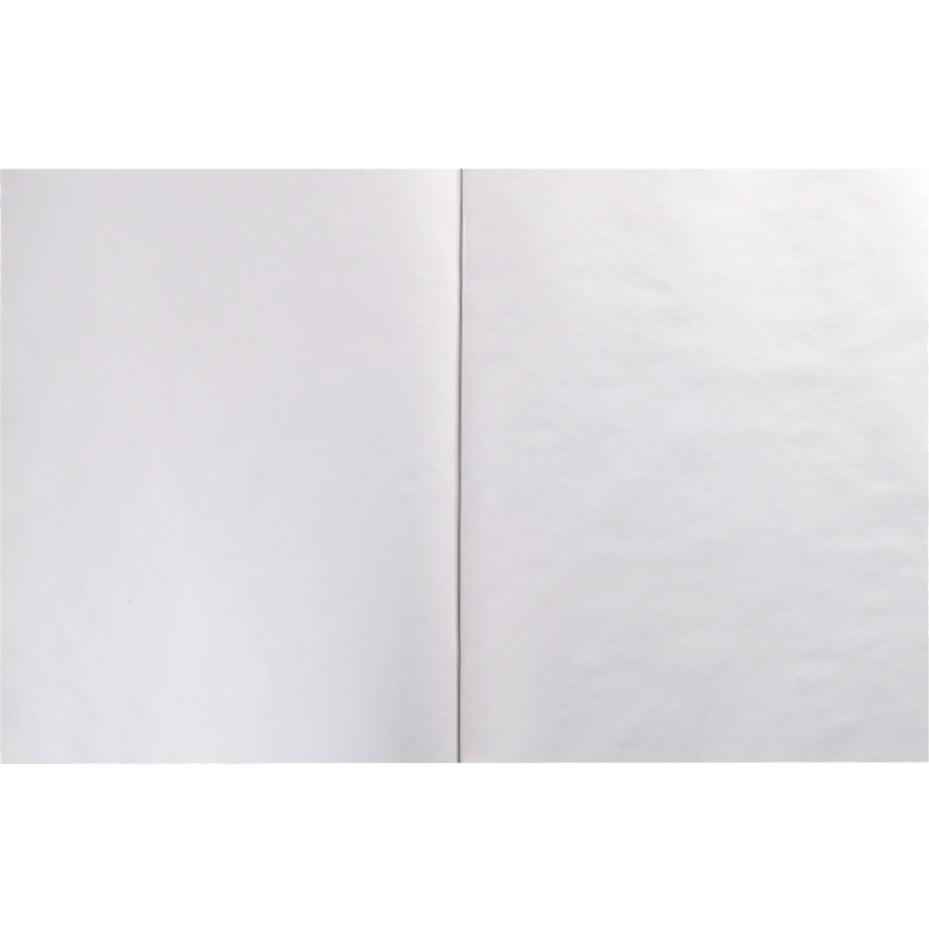 Hilroy Exercise Book Plain 9-1/8x7-1/8" 72 pages