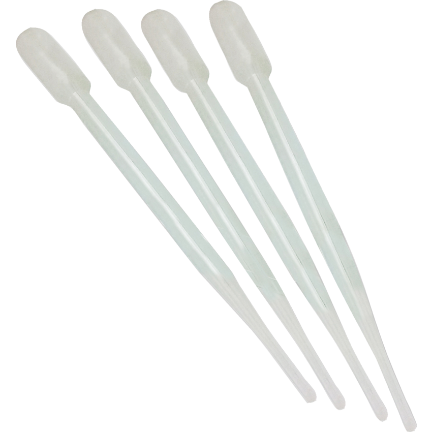 Roylco Paint Pipettes 6" 8/pkg
