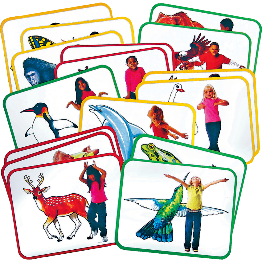 Roylco Body Poetry: Animal Action Cards 16/pkg