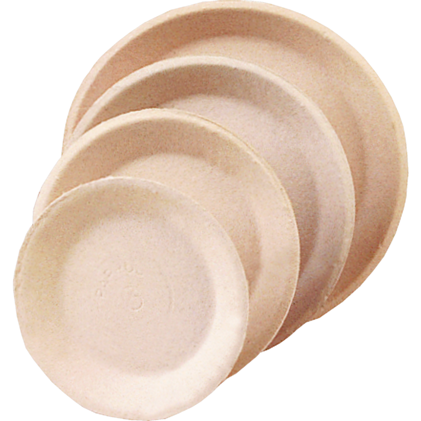 Paprus Paper Plates 8" 500/case