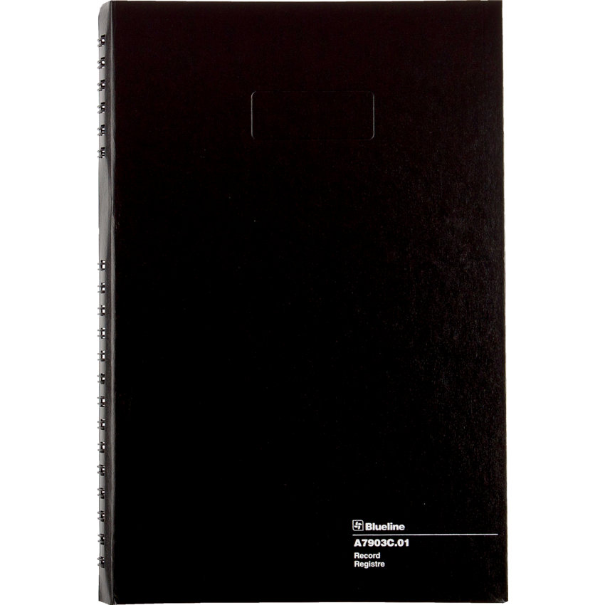 Blueline® AccountPro™ Account Book 12-1/2" x 7-15/16" 300 pages